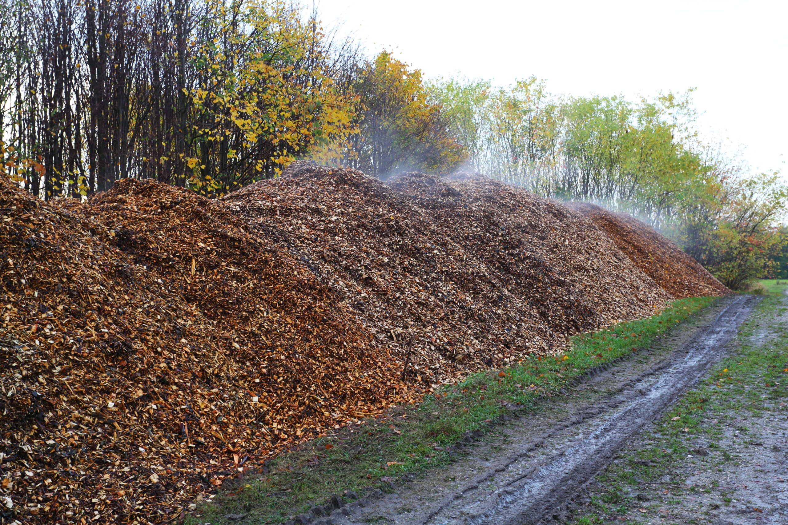 How to Make Hot Compost: What is Thermophilic Composting?